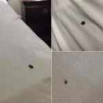 The 2 powerful techniques that you can apply at home to remove bleach stains.