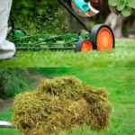 Lady flips a tire and sprays it bright pink. I’ve never seen a planter idea this fun before