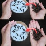 Throwing a Scouring Pad into the Washing Machine: The Simple Trick That Solves a Common Problem