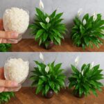 Your palm holds secrets…