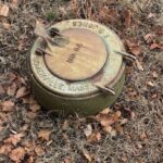 How to Stop Maggots From Taking Over Your Trash Bin