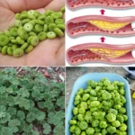 Eliminate bad breath: If you have this in your mouth, you could have these bacteria