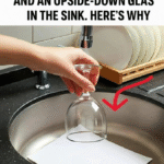 How long can cooked food stay in the refrigerator?