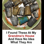 Put this on for 1 hour in your house, you will never see Flies, Mosquitoes or Cockroaches again
