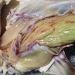 This Shouldn’t Have Been There