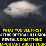 This Rustic Find Is Smarter Than It Looks