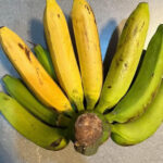 What It Really Means When a Slug Enters Your Home