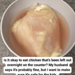 🧠 If You See a Turtle or a Camel First — What It Reveals About How Your Brain Works