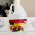 The Taco That Taught Us: How One Family’s Disagreement Became a Lesson in Love and Balance