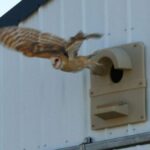 Why Some Parking Spaces Are Painted Purple—and Why You Should Think Twice Before Using One