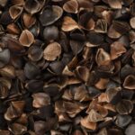 Why White Stuff Comes Out of Chicken While Cooking