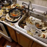 What It Really Means When a Slug Enters Your Home