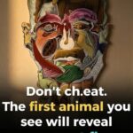 What the First Animal You Notice May Say About Your Personality