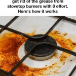 Don’t Throw Away Bubble Wrap — Keep It in Your Kitchen and You’ll Be Surprised by Its Uses