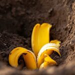 I Never Understood What This Loop on Your Shirt Was For — Until They Showed Me