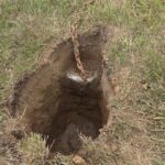 Thousands of Dollars in Damage Hiding Behind This Innocent-Looking Wall