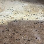 Vinegar is key to whiter clothes and softer towels, but most people use it incorrectly. Here’s how to use it right