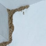 I Found a Chain Buried Under My Mailbox