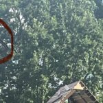 The Real Deal on Covering Your Sink Before Vacation