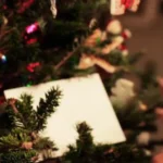 Delicious Italian Christmas Cookie Recipes To Make During The Holidays