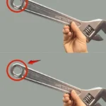 Why do spider plant tips turn brown?