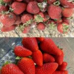 The Number Of Circles You See Determines If You’re A Narcissist