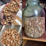 How to Store Food Correctly and for Longer: Tricks to Keep CHEESE, fruits, Vegetables, and More Fresh