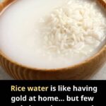 🧽 Old Sponges, Don’t Throw Them Away: “They’re Worth Gold” – Here’s Why!