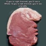 What Your Choice Says About Your Personality