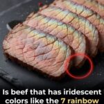 🌱 Reusing Pistachio Shells: How to Turn Them Into Powder and Use It in Your Garden