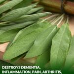 🧽 Old Sponges, Don’t Throw Them Away: “They’re Worth Gold” – Here’s Why!