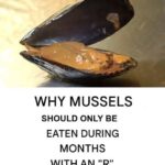 What a Paw-Print Sticker on a Mailbox Means