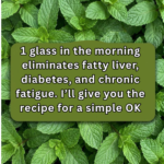 What Does ALDI Really Mean?