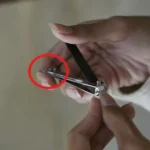 Here’s What to Do If You Spot a Lone Star Tick