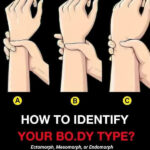 Why Tiny White Worms Come Out of Strawberries in Salt Water