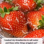 🧬 Ectomorph, Mesomorph, or Endomorph?