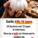 Try This Natural Remedy to Avoid Mosquito Bites