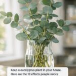 Can You Identify This Brass Beauty?