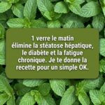 Mint and Lemon: The Home Remedy That Detoxifies, Rejuvenates, and Boosts Your Energy in Minutes