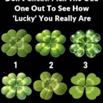 What Are Eye Floaters? Here What To Do If you Start Seeing Them, According to an Eye Doctor