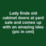 Woman picked up a rusty fan from a flea market, transformed it into a garden centerpiece