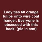 Lady paints 20 terracotta pots. How she designs them looks STUNNING on her patio