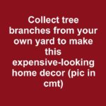 15 Plants That Bloom All Summer Long