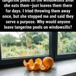 This Attic Find Creeped Me Out