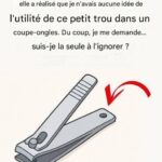 Lady lines up chairs around a tree. The transformation is pure wow