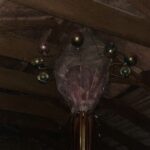 Lady ties 60 orange tulips onto wire coat hanger. Everyone is obsessed with this hack!