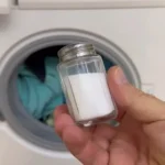 Benefits of Orange Peel Powder for Plants: How It Feeds Plants and Repels Pests