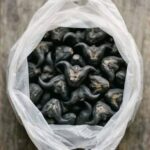 Diabetics, Attention! These Fruits May Help Support Healthy Blood Sugar Levels Naturally
