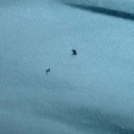 Lady sprays paint through colanders. People cannot stop sharing this New Year idea
